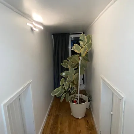 مكان تخييم Gusmao House *